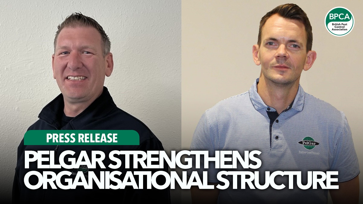 pelgar-strengthens-organisational-structure-hero pelgar-strengthens-organisational-structure-hero